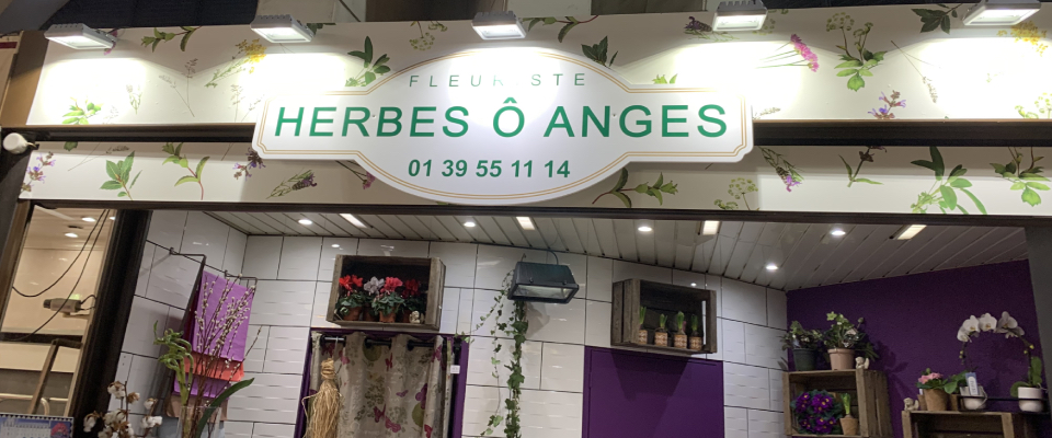 herbes ô anges